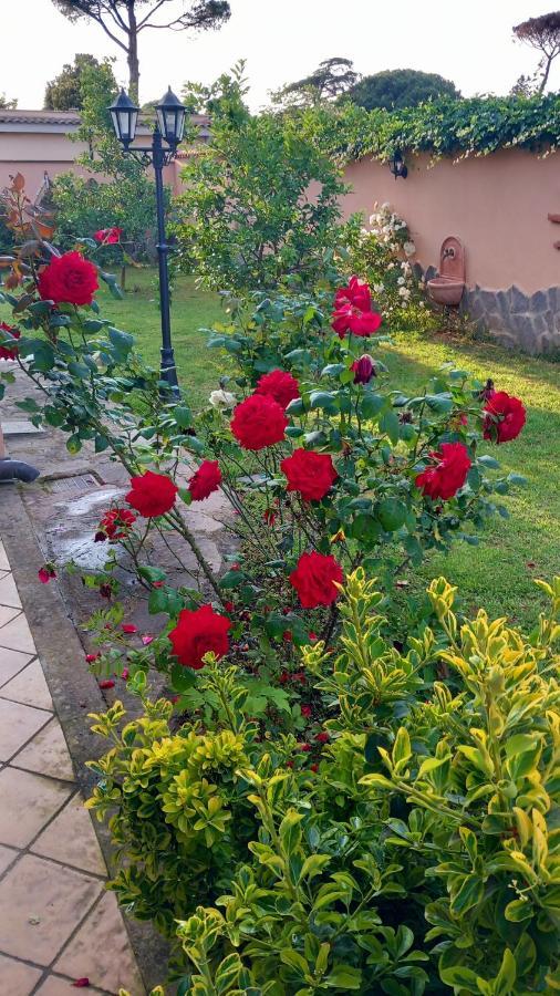 Villa Vittorio Infernetto Dış mekan fotoğraf