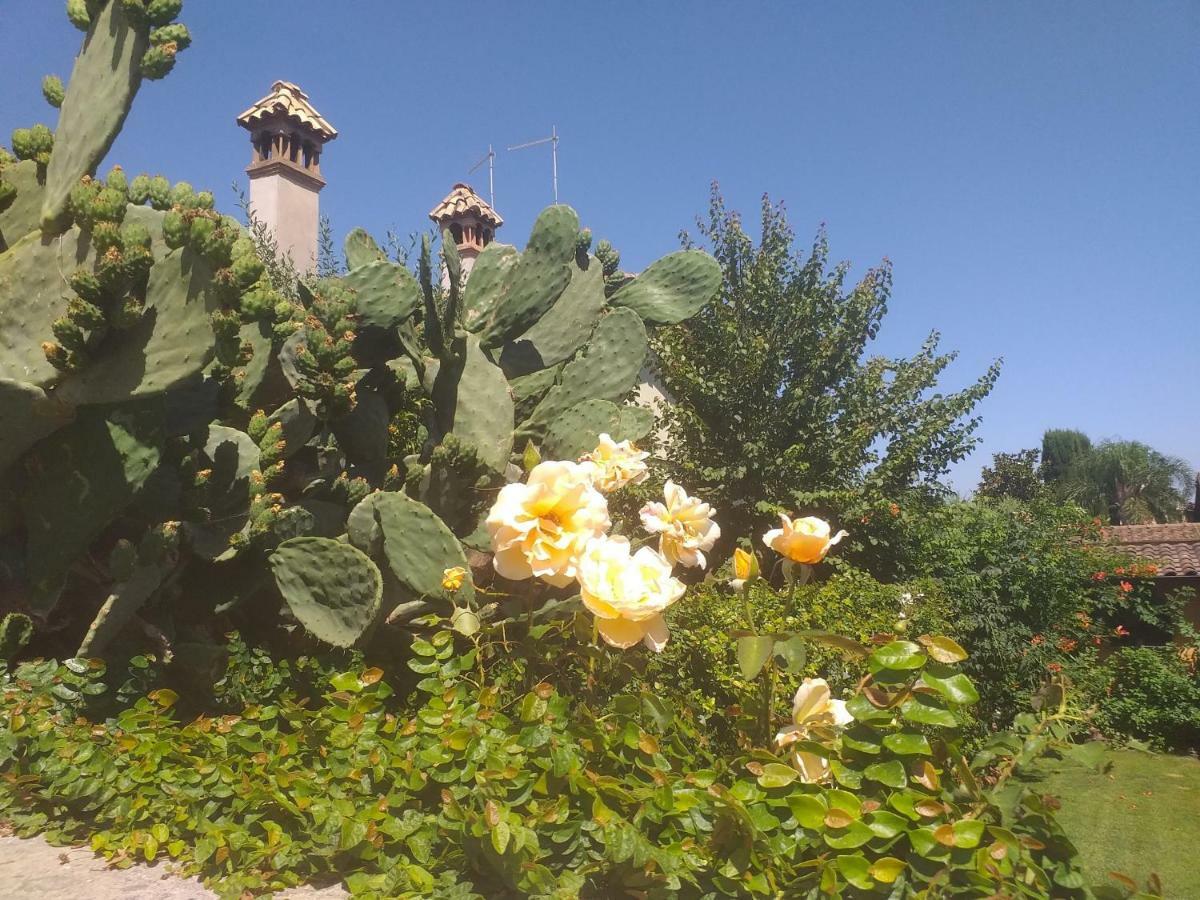 Villa Vittorio Infernetto Dış mekan fotoğraf